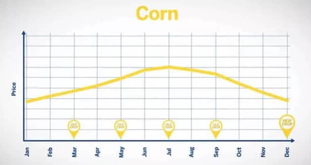 corn trading 2